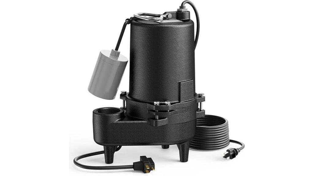 heavy duty cast iron pump