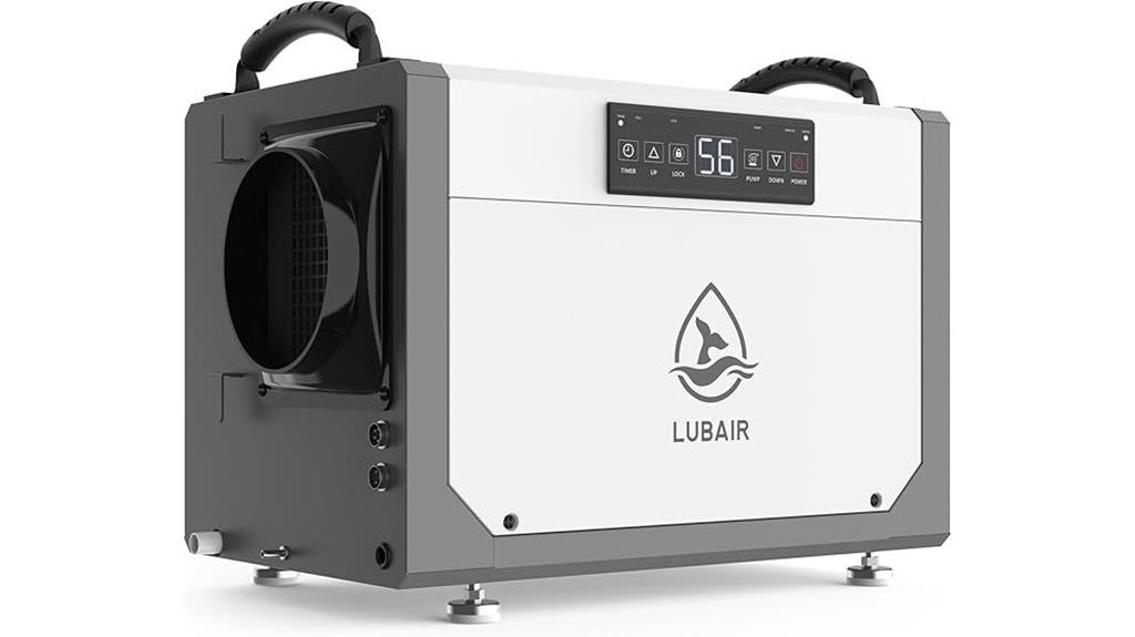 basement pint crawl dehumidifier