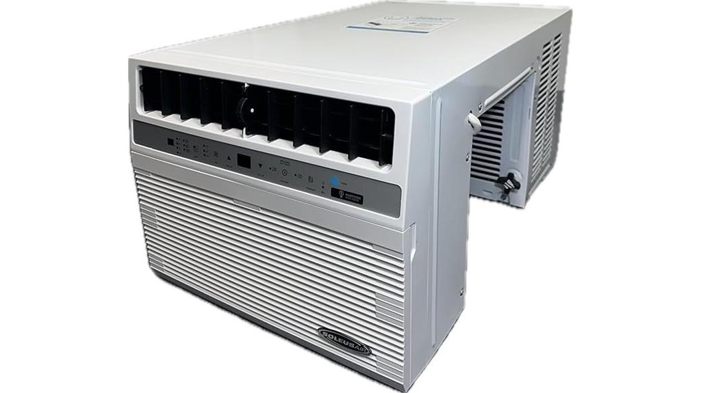 high capacity window heat pump