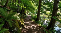 conditional pond loop shortcut
