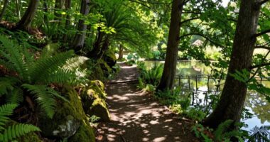 conditional pond loop shortcut
