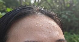 humidity affects perceived warmth