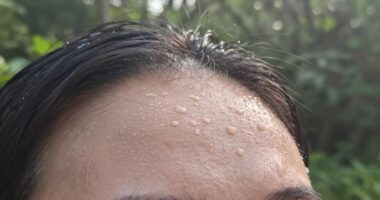humidity affects perceived warmth