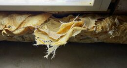 insulation loses effectiveness over time