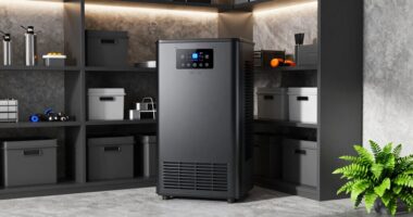 top basement dehumidifiers