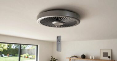 top remote controlled fans