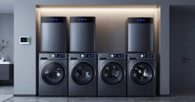 top smart dehumidifiers 2026