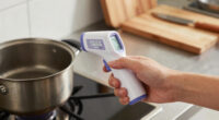 11 Best Digital Infrared Thermometers in 2026