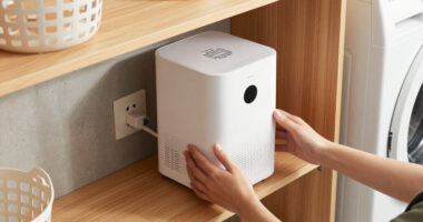 15 Best Mini Dehumidifiers in 2026