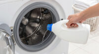14 Best Laundry Care Products in 2026