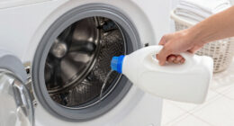 14 Best Laundry Care Products in 2026