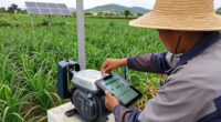 Google And The Gates Foundation To Bring AI Resources To 200 Million Farmers Across The Global South.